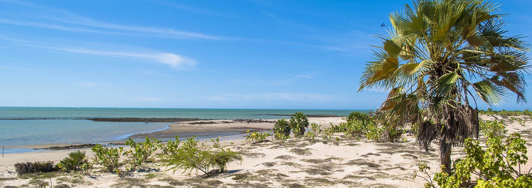 LUIS CORREIA - praias calmas e lençóis com dunas claras que permeiam o calmo atlântico